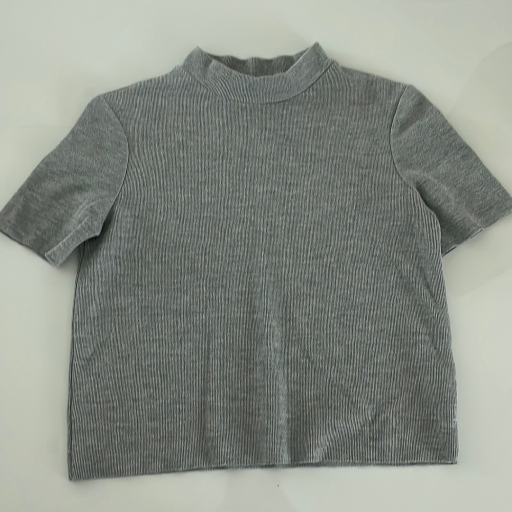 ZARA Grey Cropped Short Top
